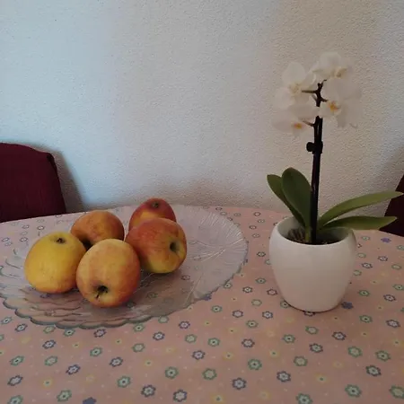 Matea Apartman