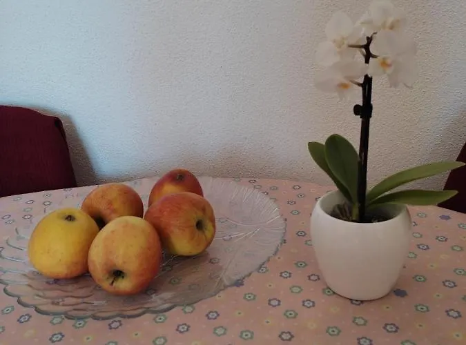 Matea Apartament